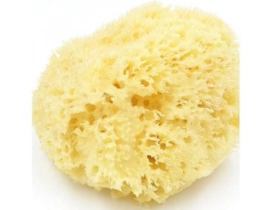 Natural Sponge - Small